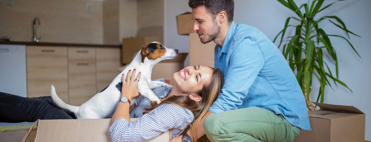 7 características essenciais no imóvel para ter pets no apartamento