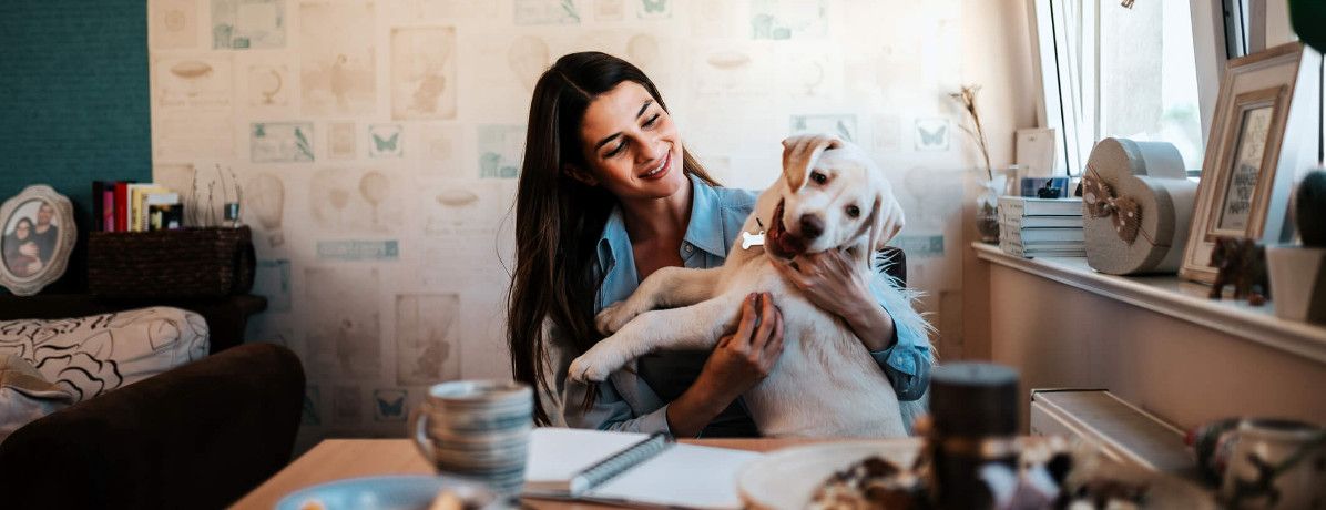 10 dicas de como criar cachorro em apartamento e não ter problemas