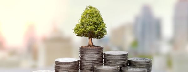 Sustentabilidade financeira: entenda o conceito e a aplicação