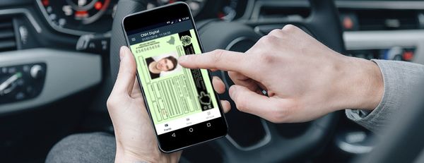 Documentos digitais: por que manter sempre a CNH e o documento do carro no celular?